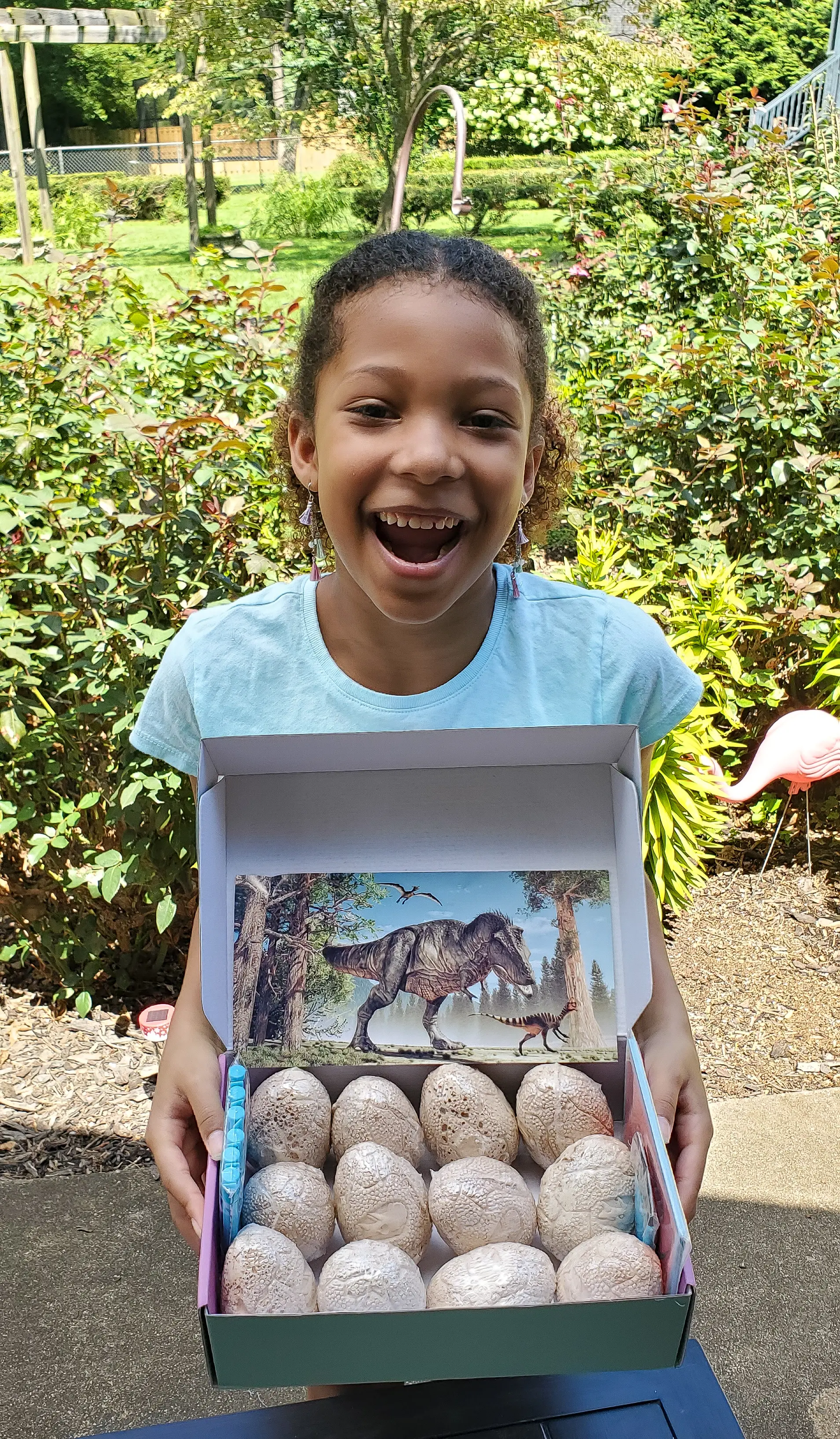 Dinosaur Eggs Esuun. Get ready for&nbsp;roars and rescues with&nbsp;the&nbsp;PAW Patrol&nbsp;in&nbsp;the brand-new&nbsp;DVD&nbsp;PAW Patrol: Dino Rescue. We received a special package in honor of this awesome DVD release. Inside we found some awesome surprises that we can't wait to share with you.