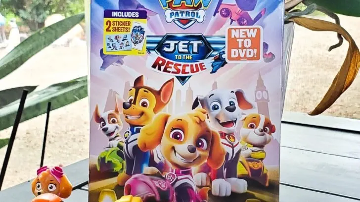 PAW Patrol Jet to the Rescue DVD Giveaway. Get ready for high-flying adventures with the&nbsp;PAW Patrol&nbsp;pups in the brand-new DVD&nbsp;PAW Patrol: Jet to the Rescue. Featuring an exclusive, all-new original TV movie and four fan-favorite episodes from the number-one ranked preschool show on television. Enter to win your very own PAW Patrol: Jet to the Rescue DVD in my special giveaway on my blog.
