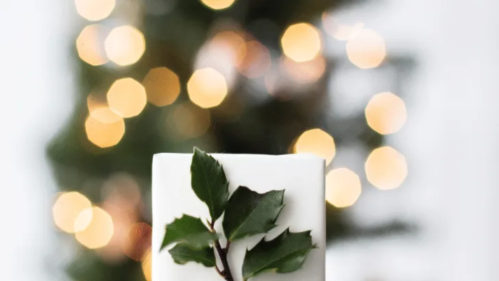 It&rsquo;s that time of the year my lovelies! The holiday season is upon us and in just a few short weeks we will be celebrating Christmas! I have partnered with some amazing companies this holiday season to bring you an ultimate list of must-haves in my 2020 Holiday Gift Guide.