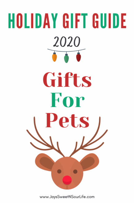 2020 Holiday Gift Guide