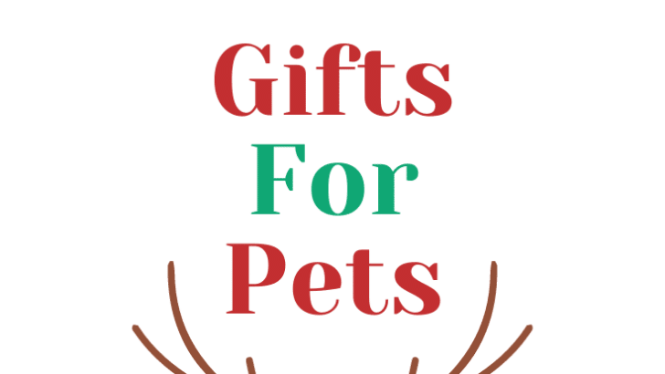 The holiday season is upon us and in just a few short weeks we will be celebrating Christmas! I have partnered with some amazing companies this holiday season to bring you an ultimate list of must-haves in my 2019 Holiday Gift Guide For Pets.