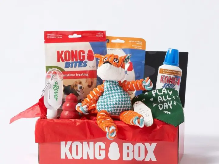 Each monthly box comes with a training toy, a toy created for your dog's personality, some KONG treats, and some recipes and tips to make the box the most enjoyable for your dog each month. The first box comes with the iconic KONG Classic.