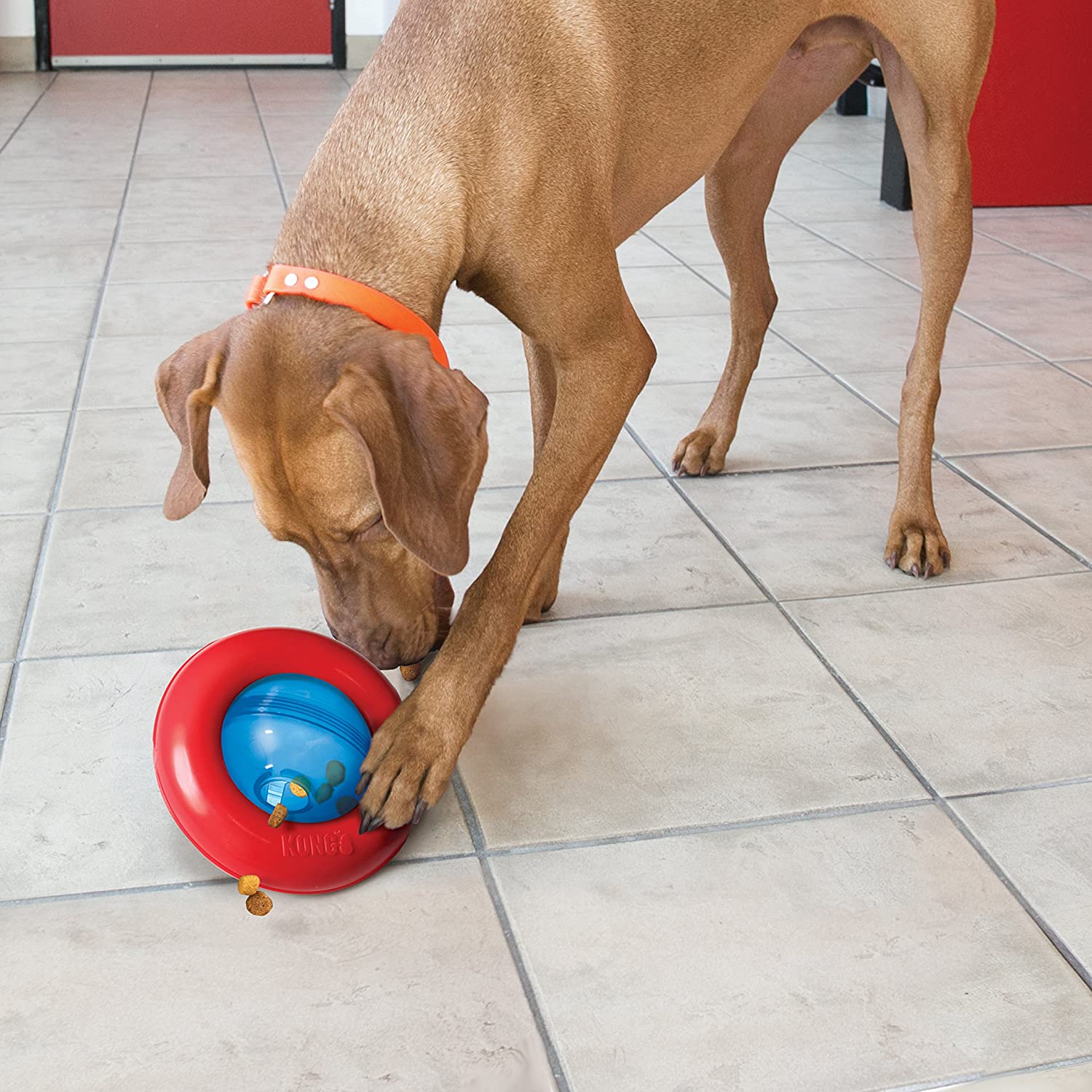 Image for KONG - Gyro - Interactive Treat Dispensing Dog Toy