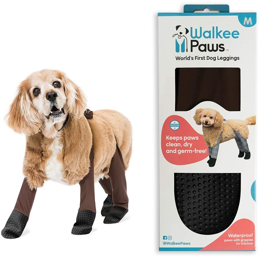 Image for Walkee Paws Waterproof Dog Leggings