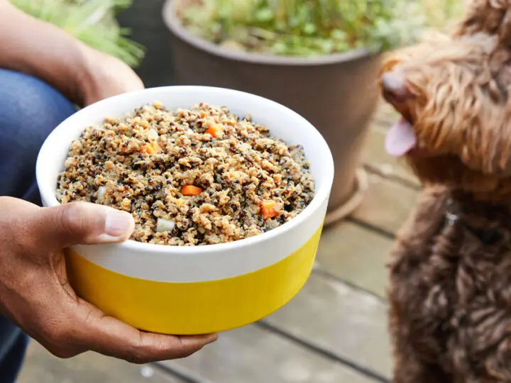 Image for Pet Plate - Fresh Dog Food Delivery