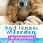 Busch Gardens Williamsburg 2021 Special Events. Enjoy the new Busch Gardens Williamsburg 2021 special events that offer socially distanced fun and entertainment all year long. Busch Gardens will be the place for all things fun, new, and safe in 2021.