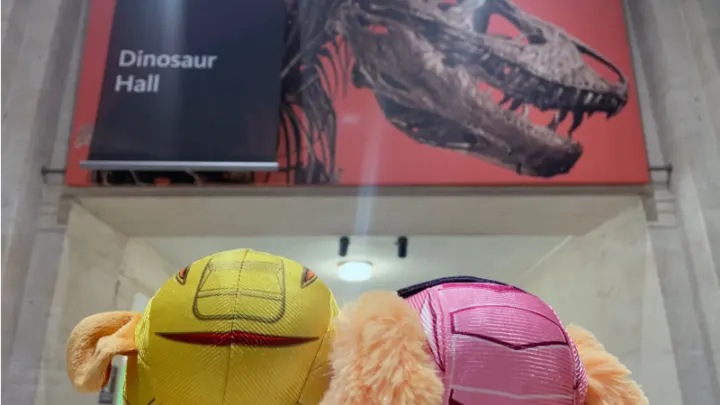 Let's dino do this! These Dinosaur Activities & Crafts from the Natural History Museum in L.A. are fun AND educational! PAW PATROL: DINO RESCUE ROAR TO THE RESCUE is available on DVD!