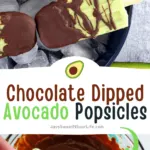 These creamy avocado popsicles are hand-dipped into dark chocolate, the perfect refreshing hot summer day treat. This easy, creamy, and delicious Chocolate Dipped Avocado Popsicle recipe is perfect for pool parties and group get-togethers.