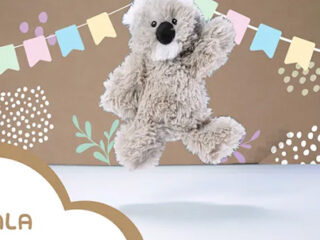 Image for Kiki Koala