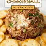 Get ready to wow your taste buds this season with a fun and flavorful Pecan Bacon Cheeseball! Packed with creamy goodness, smoky bacon, and crunchy pecans, it’s the ultimate fall and holiday appetizer that brings cozy vibes to any table. One bite and your guests will be begging for the recipe!